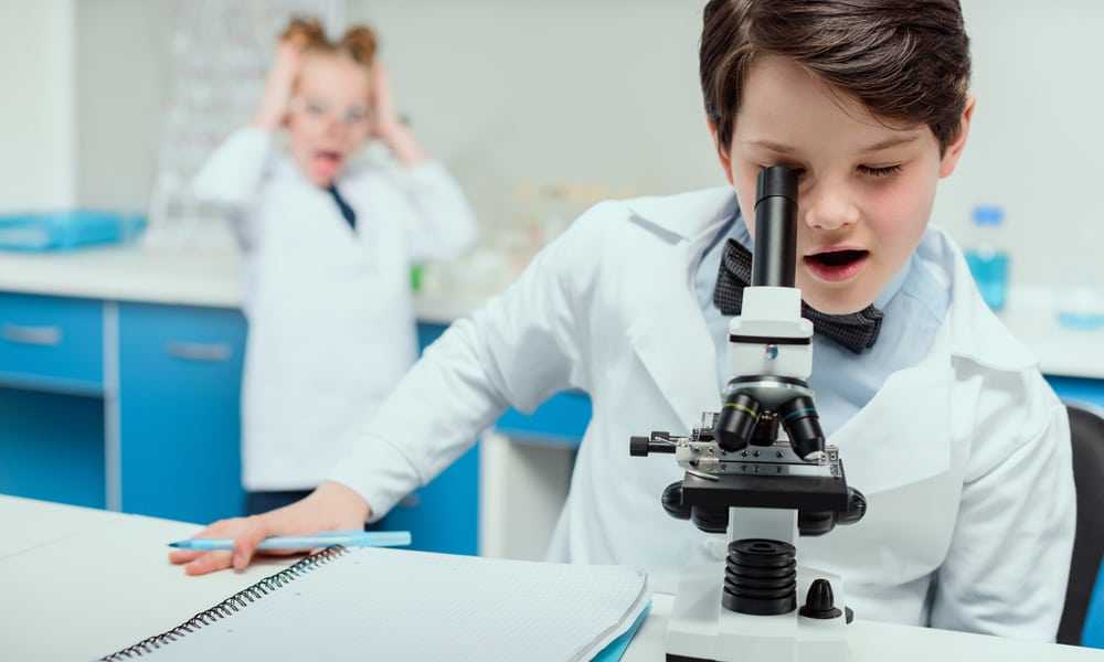 Как выбрать лучший микроскоп для исследования школьнику