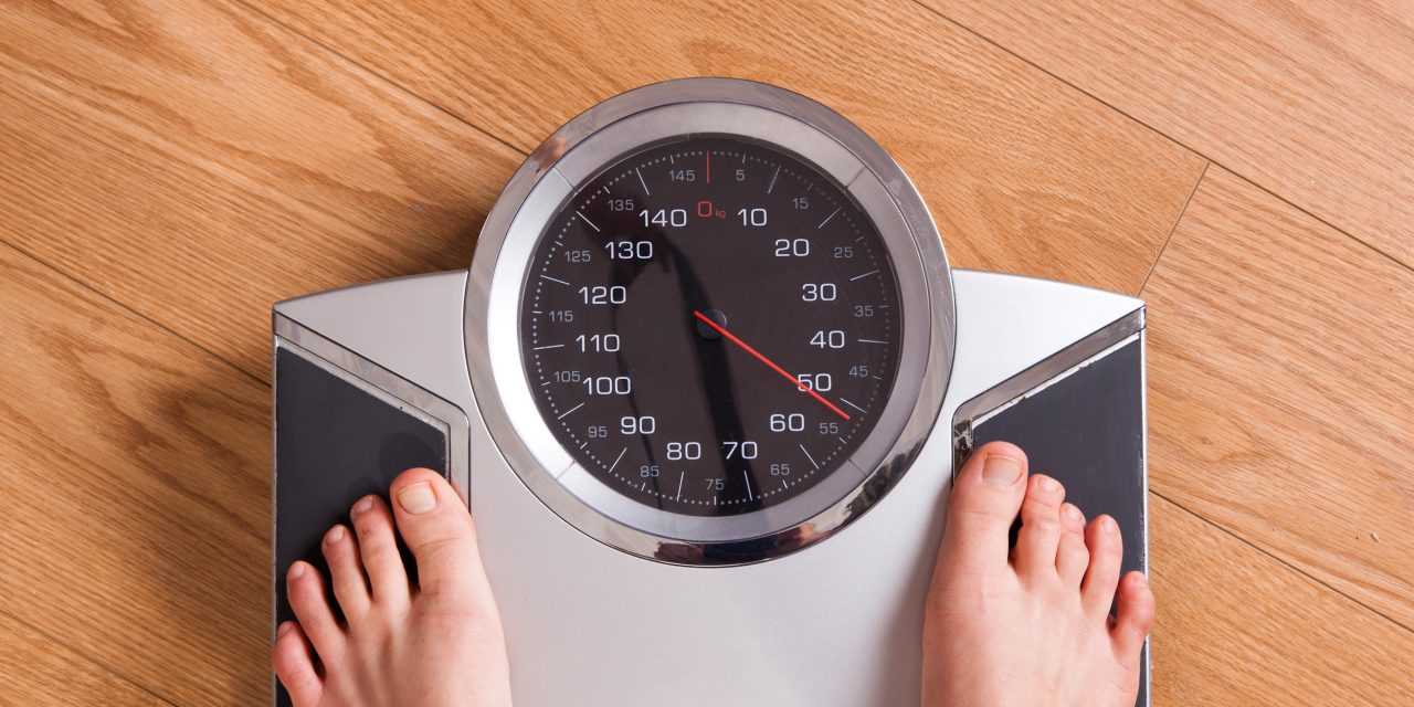 Весы и приборы измерения веса: классификация, применение, достоинства и недостатки