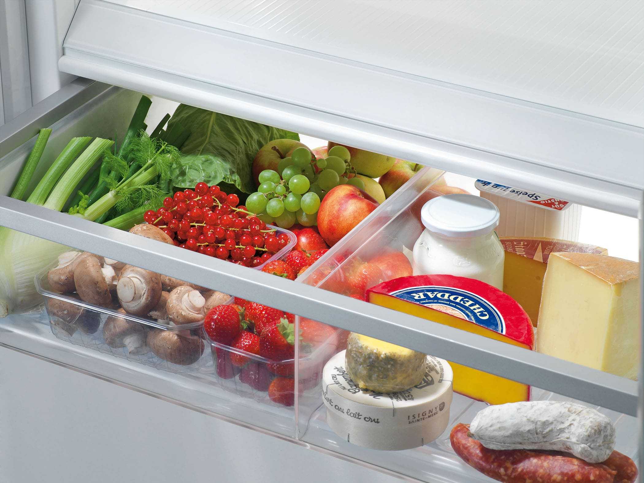 С детства современные люди знают, как следует хранить пищу, но мало кто задумывается, почему продукты хранят в холодильнике