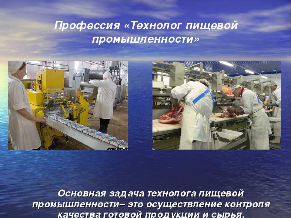 Обзор рынка производителей оборудования для пищевой промышленности в россии