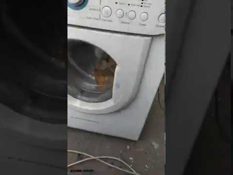 10 причин, почему стиральная машина не набирает обороты на отжиме