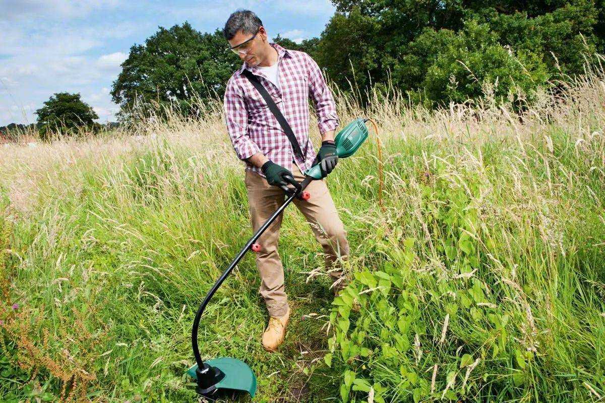 Какой триммер для травы выбрать, электрический или бензиновый: преимущества и недостатки аппарата