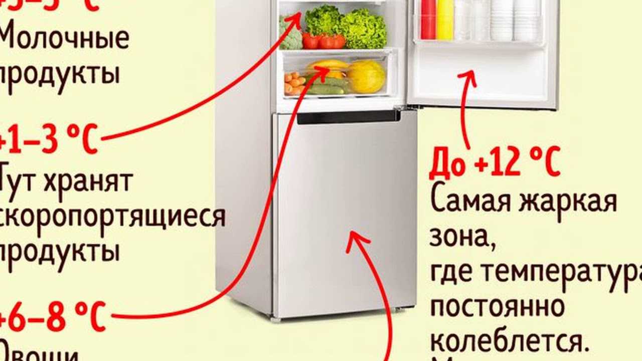 Выбор оптимального температурного режима в холодильнике