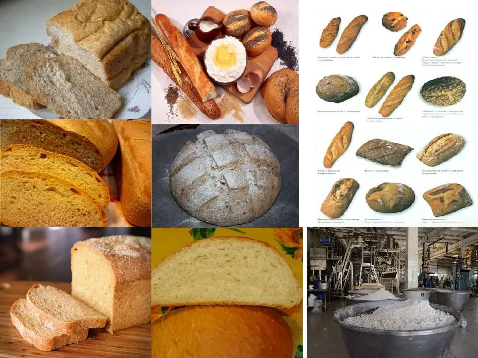 Как и какую выбрать хлебопечку для дома — советы для выгодной покупки