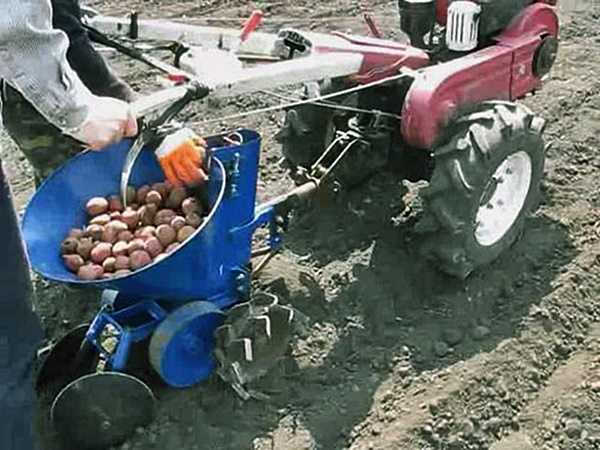 Культиватор для посадки картофеля - спецтехника от а до я.