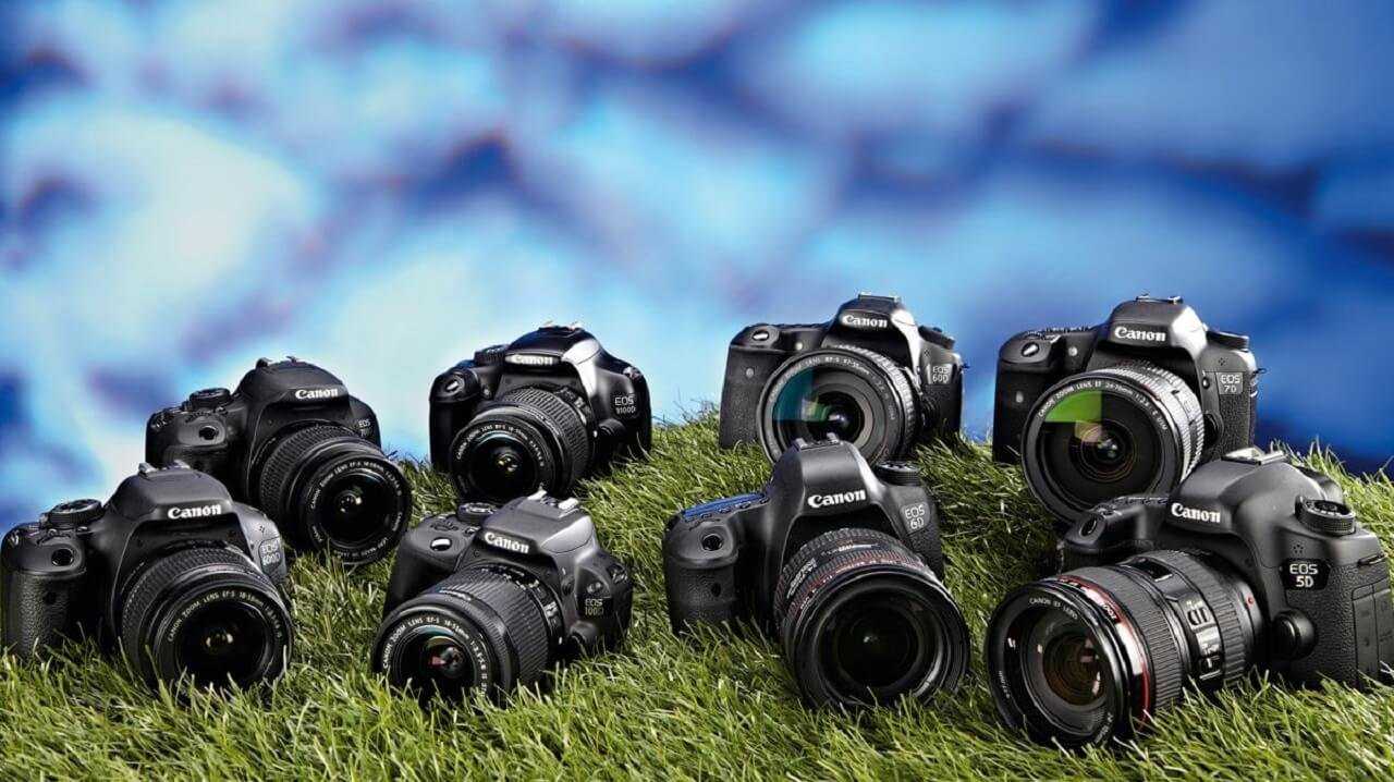 Лучшие фотоаппараты для начинающих: выбираем по функционалу, качеству, цене