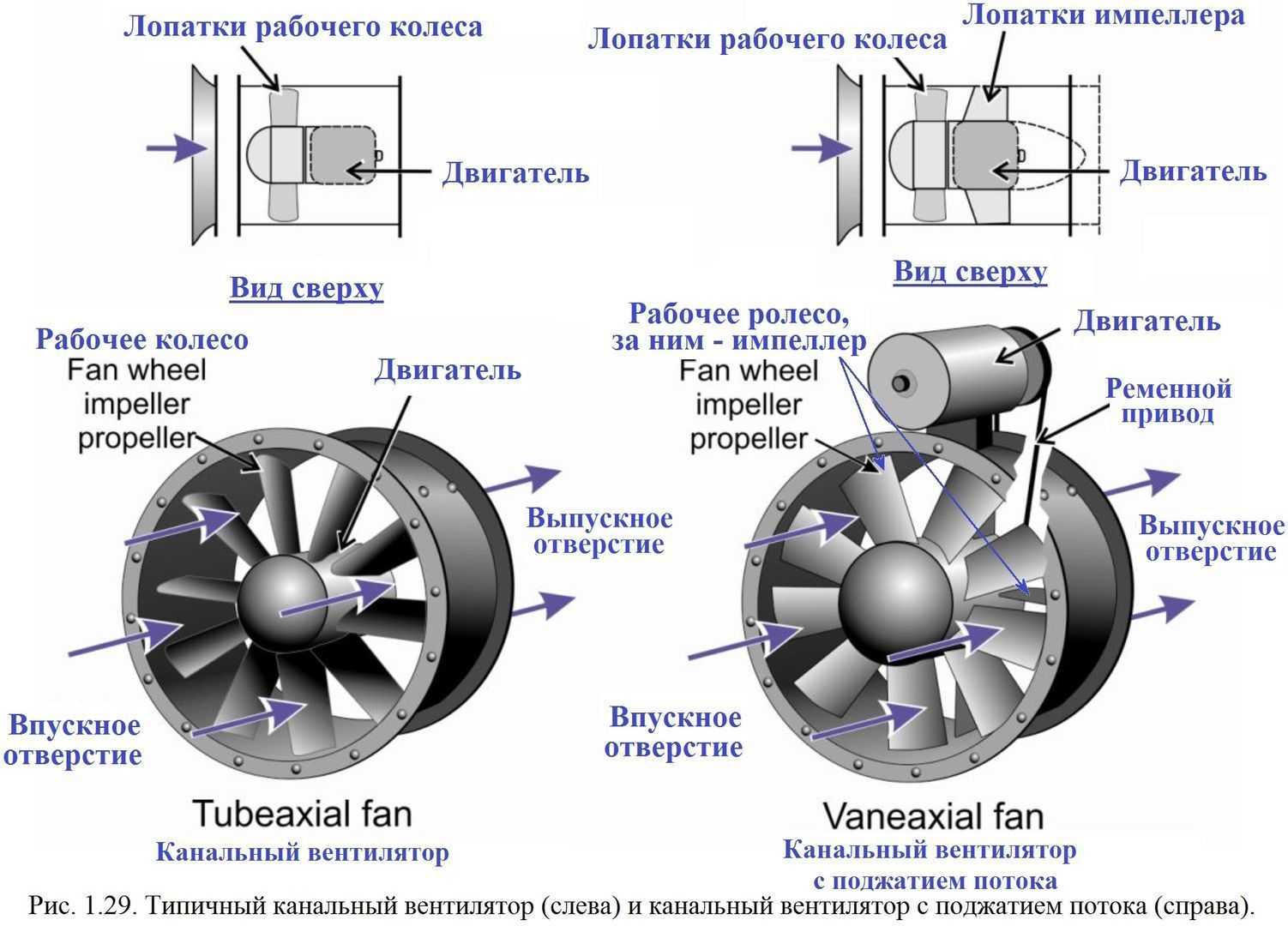 В чем разница между осевыми и радиальными вентиляторами