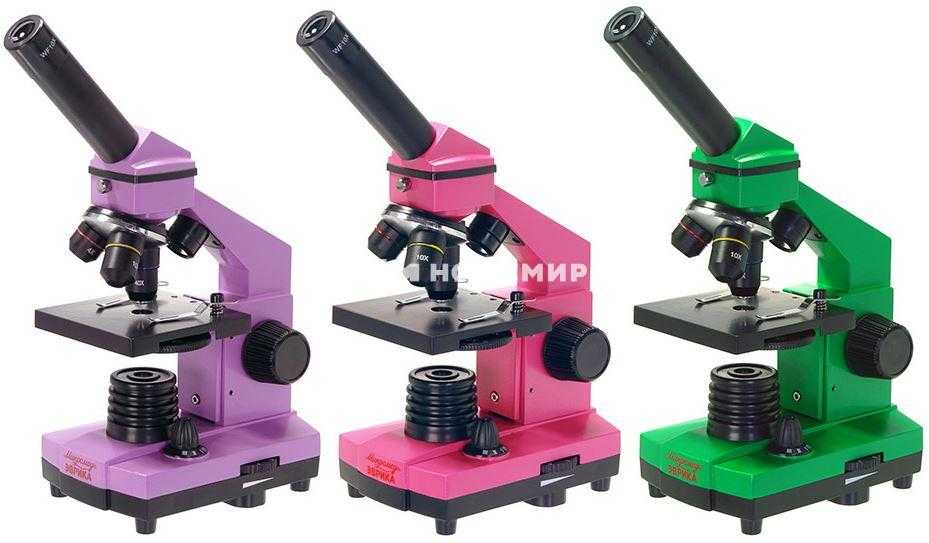 Какой выбрать микроскоп для школьника: рейтинг из топ-20 лучших микроскопов, отзывы покупателей