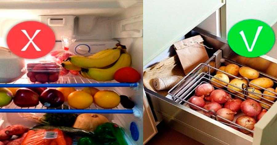 Почему продукты хранят в холодильнике