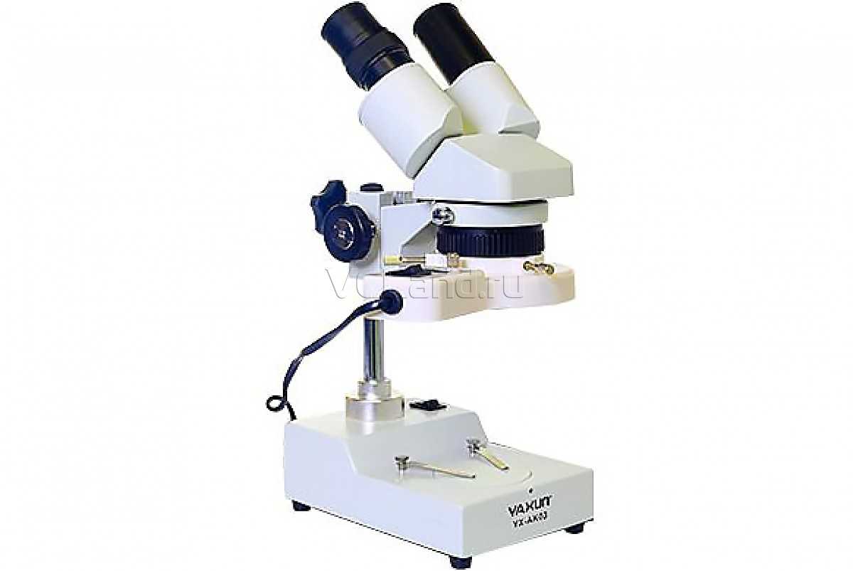 Как выбрать микроскоп для ребенка: практические советы и лучшие модели